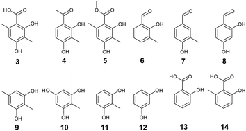 Graphical abstract: Kinetic characterisation of the FAD dependent monooxygenase TropB and investigation of its biotransformation potential