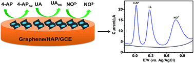 Graphical abstract: A new strategy for simultaneous determination of 4-aminophenol, uric acid and nitrite based on a graphene/hydroxyapatite composite modified glassy carbon electrode