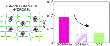 Graphical abstract: Effect of maleimide-functionalized gold nanoparticles on hybrid biohydrogels properties