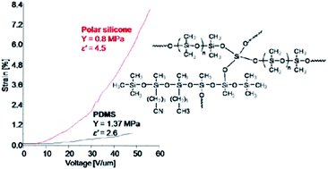 Graphical abstract: Polar–nonpolar interconnected elastic networks with increased permittivity and high breakdown fields for dielectric elastomer transducers