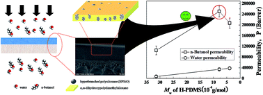 Graphical abstract: High performance polydimethylsiloxane pervaporative membranes with hyperbranched polysiloxane as a crosslinker for separation of n-butanol from water