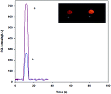 Graphical abstract: A novel solid-state electrochemiluminescence sensor based on a Ru(bpy)32+/nano Sm2O3 modified carbon paste electrode for the determination of l-proline