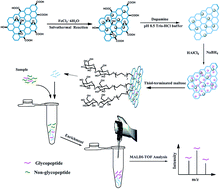 Graphical abstract: Synthesis of a hydrophilic maltose functionalized Au NP/PDA/Fe3O4-RGO magnetic nanocomposite for the highly specific enrichment of glycopeptides