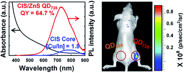 Graphical abstract: Highly luminescent, off-stoichiometric CuxInyS2/ZnS quantum dots for near-infrared fluorescence bio-imaging