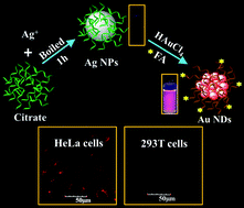 Graphical abstract: Fluorescent small Au nanodots prepared from large Ag nanoparticles for targeting and imaging cancer cells