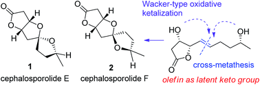 Graphical abstract: A concise protecting-group-free synthesis of cephalosporolides E and F