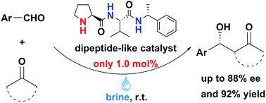 Graphical abstract: Highly modular dipeptide-like organocatalysts for direct asymmetric aldol reactions in brine