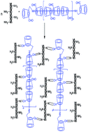 Graphical abstract: Crosslinking of collagen using a controlled molecular weight bio-crosslinker: β-cyclodextrin polyrotaxane multi-aldehydes