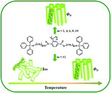 Graphical abstract: Influence of the spacer length on the phase behaviors of mesogen-jacketed liquid crystalline polymers with a bulk side-chain