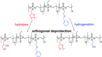 Graphical abstract: Multifunctional poly(phosphoester)s with two orthogonal protective groups