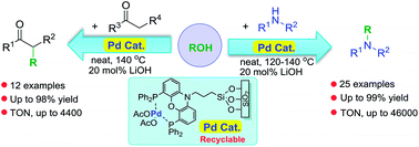Graphical abstract: An efficient heterogenized palladium catalyst for N-alkylation of amines and α-alkylation of ketones using alcohols