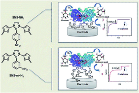 Graphical abstract: Comparative investigation of spectroelectrochemical and biosensor application of two isomeric thienylpyrrole derivatives