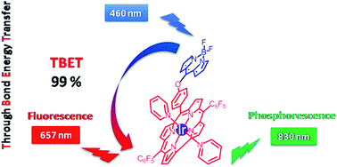 Graphical abstract: Corrole–BODIPY conjugates: enhancing the fluorescence and phosphorescence of the corrole complex via efficient through bond energy transfer