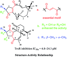 Graphical abstract: Natural thioredoxin reductase inhibitors from Jatropha integerrima