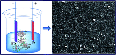 Graphical abstract: Electrochemical detection of a pathogenic Escherichia coli specific DNA sequence based on a graphene oxide–chitosan composite decorated with nickel ferrite nanoparticles