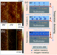 Graphical abstract: Self-polarization induced by lattice mismatch and defect dipole alignment in (001) BaTiO3/LaNiO3 polycrystalline film prepared by magnetron sputtering at low temperature