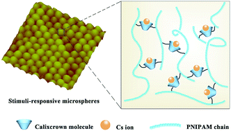 Graphical abstract: Novel thermo-responsive hydrogel microspheres with calixcrown host molecules as cross-links for highly specific binding and controllable release of cesium