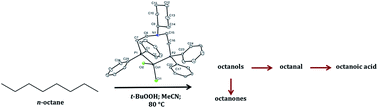 Graphical abstract: Cobalt aminodiphosphine complexes as catalysts in the oxidation of n-octane