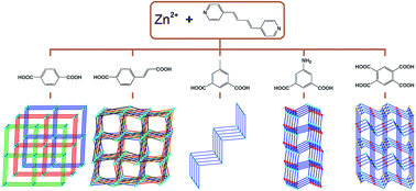 Graphical abstract: Coordination assemblies of Zn(NO3)2 with 4-pyr-poly-2-ene and polycarboxylates: structural diversification and photoluminescence properties