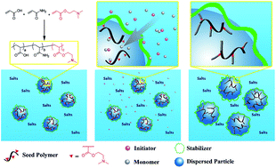 Graphical abstract: A novel and controllable route for preparing high solid-content and low-viscosity poly(acrylamide-co-acrylic acid) aqueous latex dispersions