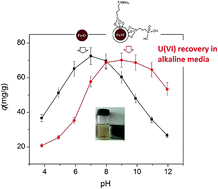 Graphical abstract: Effective uranium(vi) sorption from alkaline media using bi-functionalized silica-coated magnetic nanoparticles