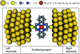 Graphical abstract: Spin transport of dibenzotetraaza[14]annulene complexes with first row transition metals