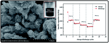 Graphical abstract: One pot hydrothermal synthesis of graphene like MoS2 nanosheets for application in high performance lithium ion batteries