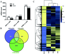 Graphical abstract: Integrated analysis of miRNA and mRNA expression profiles in development of porcine testes