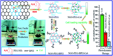 Graphical abstract: Fast and facile preparation of PEGylated graphene from graphene oxide by lysosome targeting delivery of photosensitizer to efficiently enhance photodynamic therapy