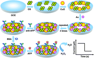 Graphical abstract: Layer-by-layer self-assembly of 2D graphene nanosheets, 3D copper oxide nanoflowers and 0D gold nanoparticles for ultrasensitive electrochemical detection of alpha fetoprotein