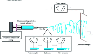 Graphical abstract: An insight on electrospun-nanofibers-inspired modern drug delivery system in the treatment of deadly cancers