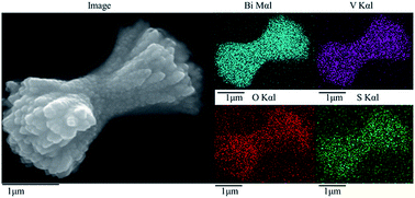 Graphical abstract: Enhanced photocatalytic activity of S-doped BiVO4 photocatalysts