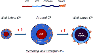 Graphical abstract: Self-assembly of a hydrophobically end-capped charged amphiphilic triblock copolymer: effects of temperature and salinity