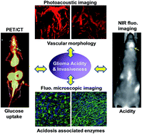 Graphical abstract: Multi-parametric imaging of the invasiveness-permissive acidic microenvironment in human glioma xenografts