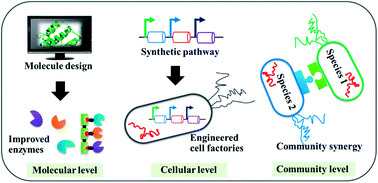 Graphical abstract: Advances in bioprocessing for efficient bio manufacture