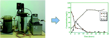 Graphical abstract: Treatment of coal gasification wastewater by anaerobic SBR–aerobic SBR process for elimination of toxic organic matters-a lab scale study