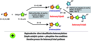 Graphical abstract: Synthesis of heteroarenes dyads from heteroarenes and heteroarylsulfonyl chlorides via Pd-catalyzed desulfitative C–H bond heteroarylations