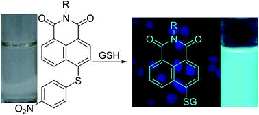Graphical abstract: Colorimetric and fluorescent detection of GSH with the assistance of CTAB micelles