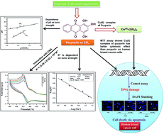 Graphical abstract: Influence of ionic strength on the interaction of THA and its Cu(ii) complex with DNA helps to explain studies on various breast cancer cells