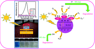 Graphical abstract: Improved daylight-induced photocatalytic performance and suppressed photocorrosion of N-doped ZnO decorated with carbon quantum dots