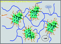 Graphical abstract: Influence of addition of vapor grown carbon fibers on mechanical, thermal and biodegradation properties of lignin nanoparticle filled bio-poly(trimethylene terephthalate) hybrid nanocomposites