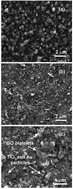 Graphical abstract: One-step preparation of nitrogen doped titanium oxide/Au/reduced graphene oxide composite thin films for photocatalytic applications