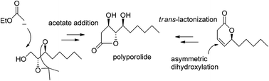 Graphical abstract: A stereoselective synthesis of the reported structure of polyporolide