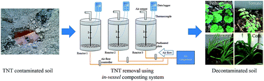 Graphical abstract: Complete dissipation of 2,4,6-trinitrotoluene by in-vessel composting