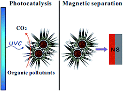 Graphical abstract: Novel urchin-like Fe2O3@SiO2@TiO2 microparticles with magnetically separable and photocatalytic properties