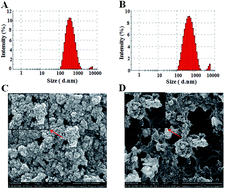 Graphical abstract: Folic acid modified copper oxide nanoparticles for targeted delivery in in vitro and in vivo systems