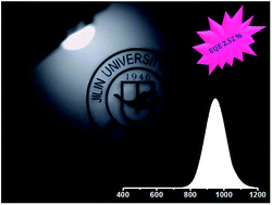 Graphical abstract: Near-infrared light emitting diodes using PbSe quantum dots