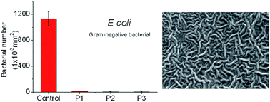Graphical abstract: Perfluoropolyether/poly(ethylene glycol) triblock copolymers with controllable self-assembly behaviour for highly efficient anti-bacterial materials