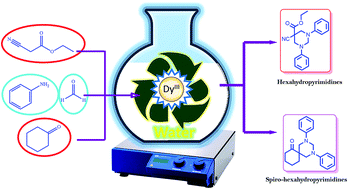 Graphical abstract: Dy/chitosan: a highly efficient and recyclable heterogeneous nano catalyst for the synthesis of hexahydropyrimidines in aqueous media