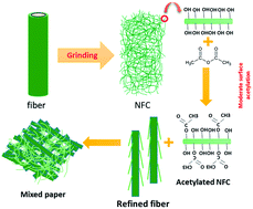 Graphical abstract: Moderate surface acetylation of nanofibrillated cellulose for the improvement of paper strength and barrier properties